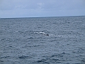 Obraz 482